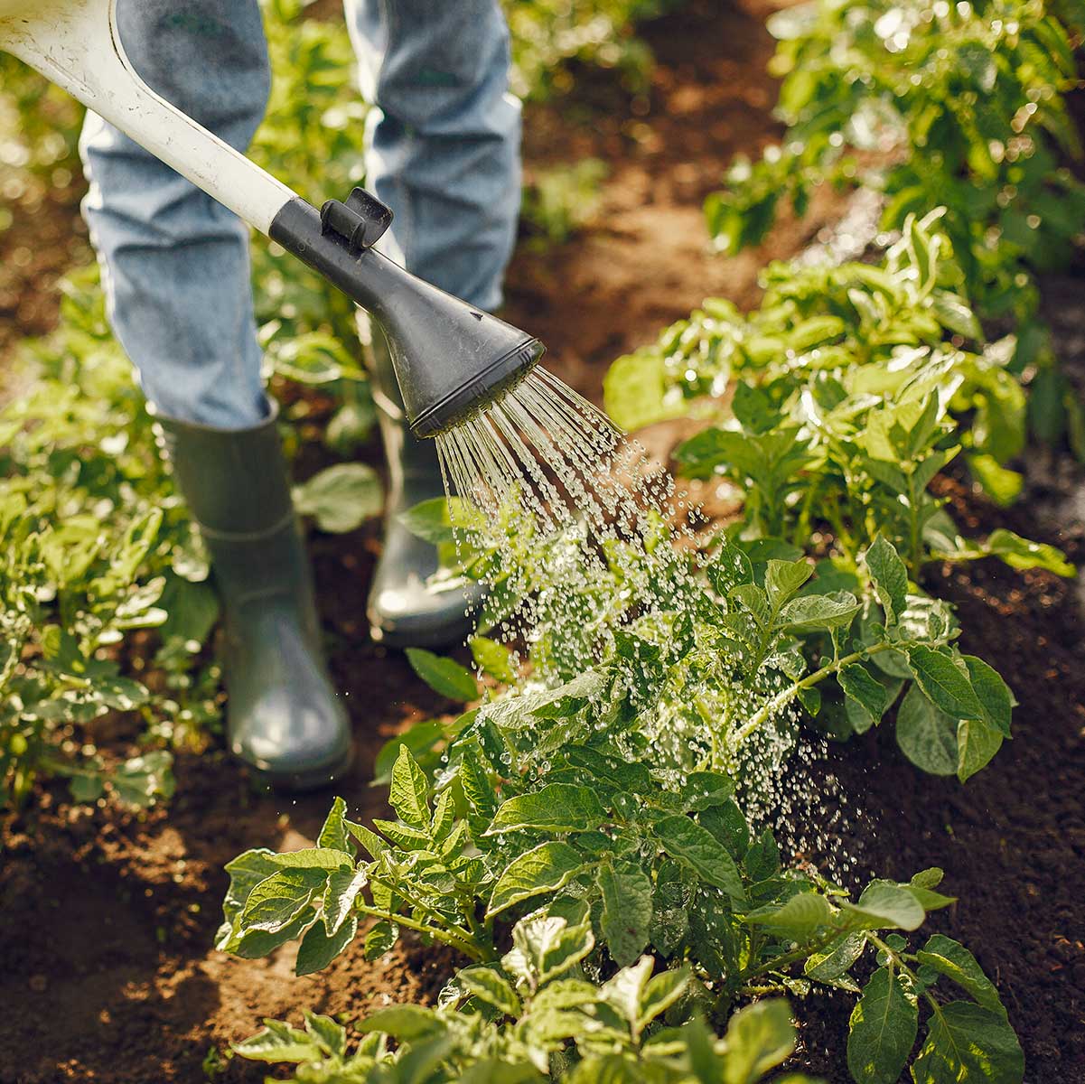 vendita-prodotti-naturali-ortofrutta