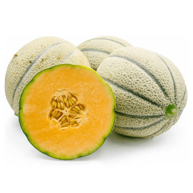 Melone cantalupo